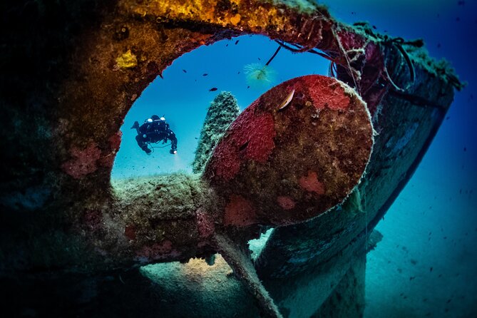 2 Scuba Fun Dives for Certified divers in St Paul's Bay - Key points to know before booking
