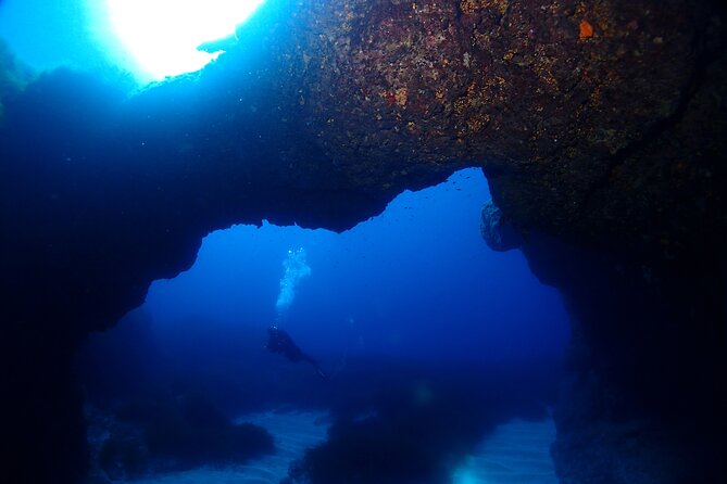 2 Scuba Fun Dives for Certified divers in St Paul's Bay - Is $118.35 fair for two sessions?