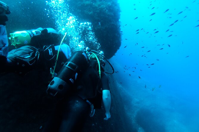 First Experience Scuba Diving - The Sliema meeting point and transfer to the shore