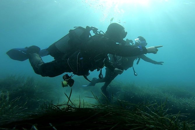 First scuba diving experience with instructor - Malta - Moving from shallow water to the sea