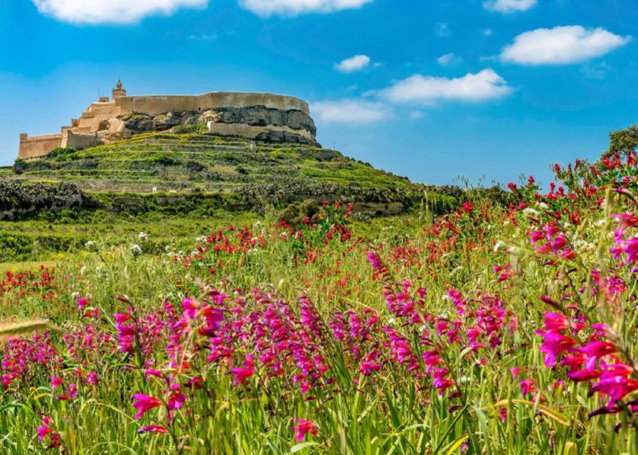From Malta: Gozo Full-Day Tour with Guide, Temples, & Train - Victoria’s Citadella and the short lunch window