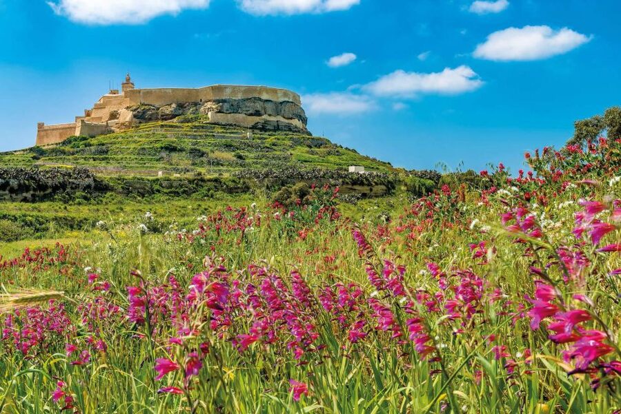 From Sliema: Gozo, Comino & The Blue Lagoon Boat & Bus Tour - My practical verdict