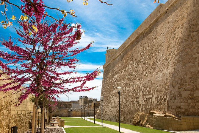 Gozo & Comino Islands, Blue Lagoon & Seacaves Tour - Is $36.04 good value?