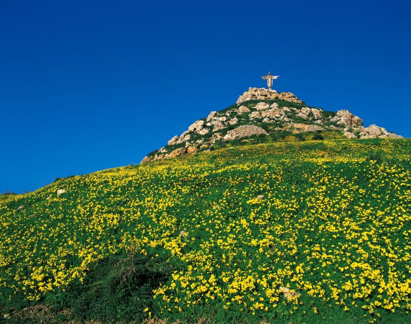 Gozo Day Pass Ferry and Hop-on Hop-off buses with audio Tour - Key points before you book