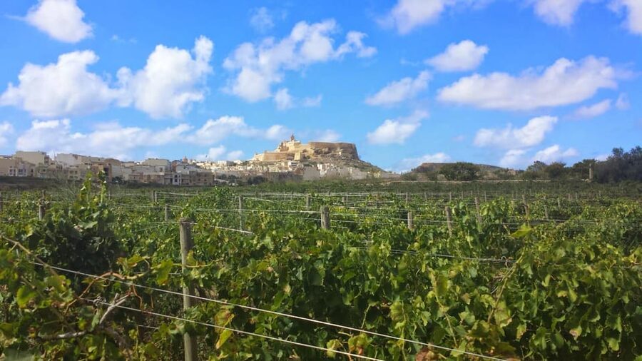Gozo Victoria Walking Tour - Why Victoria Works So Well on Foot