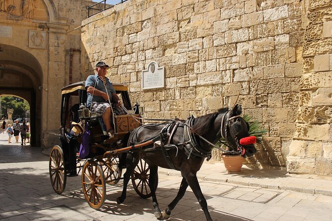 Half Day Shared Tour in Malta - Why this tour works for a short port visit