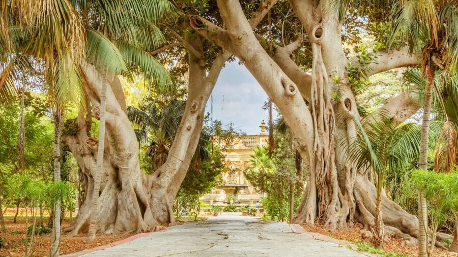 Highlights of Malta Tour:Icons and Experiences of the Island - Four hours to see Malta’s main character