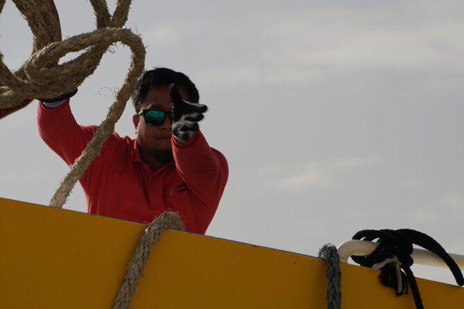 Highspeed Catamaran Crossing Between Malta and Gozo - Why the speed matters