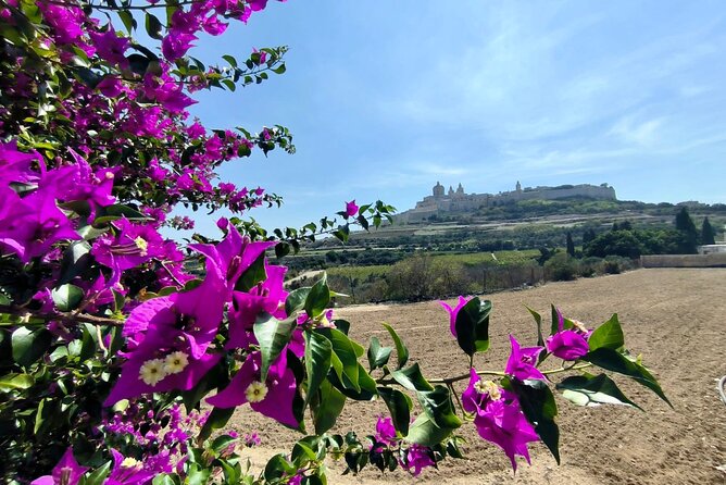 Island Day Tour with a Private Local Driver - Mdina: two hours inside Malta’s Silent City