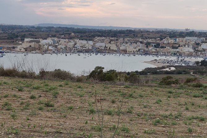 Let's Explore the Maltese Islands! (Half Day Private Group) - Who will enjoy this Malta tour most?