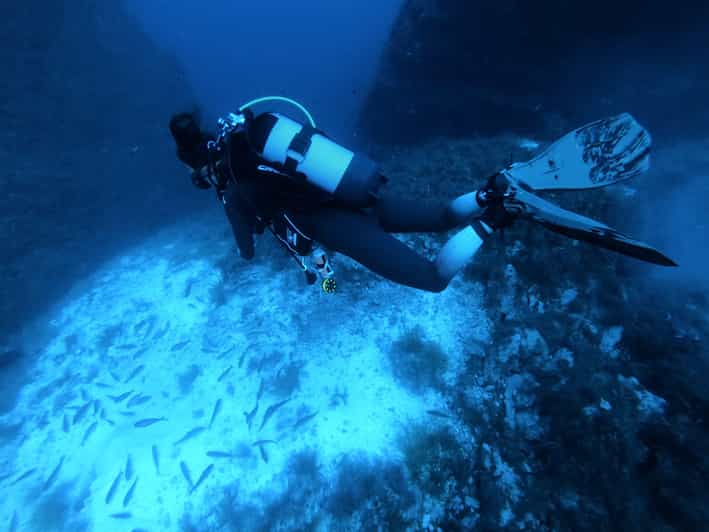 Malta: 2 Scuba Fun Dives for Certified divers - Two 45-minute sessions from St Paul’s Bay