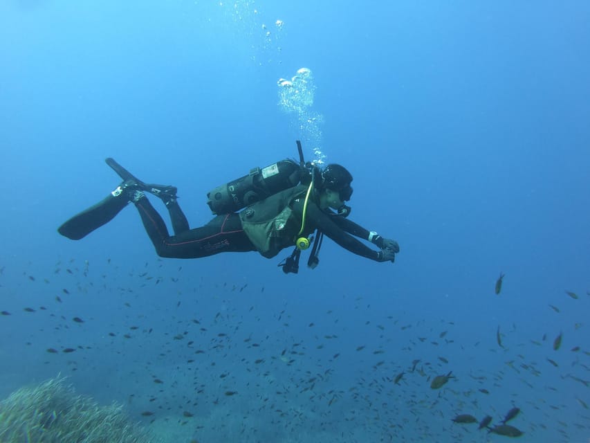 Malta: 2 Scuba Fun Dives for Certified divers - Reefs, arches, caves, and tunnels