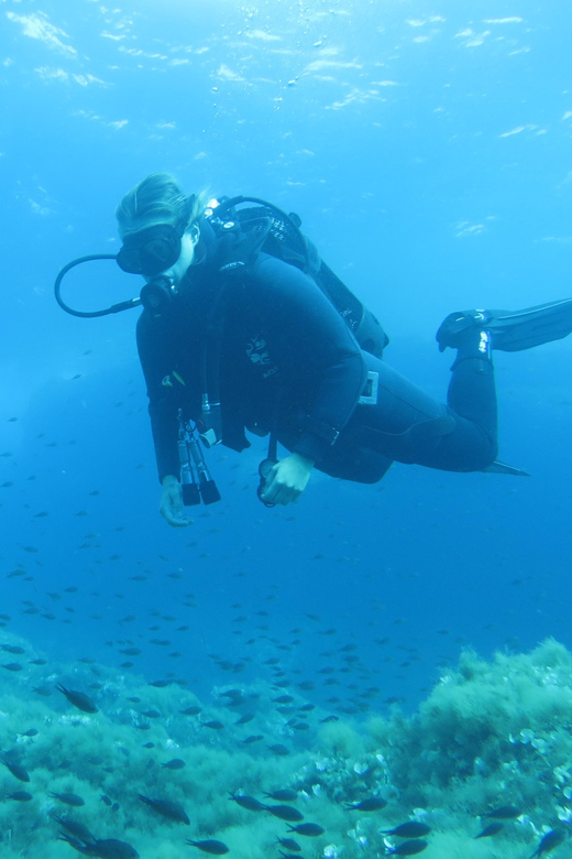 Malta: 2 Scuba Fun Dives for Certified divers - What the $118 price covers