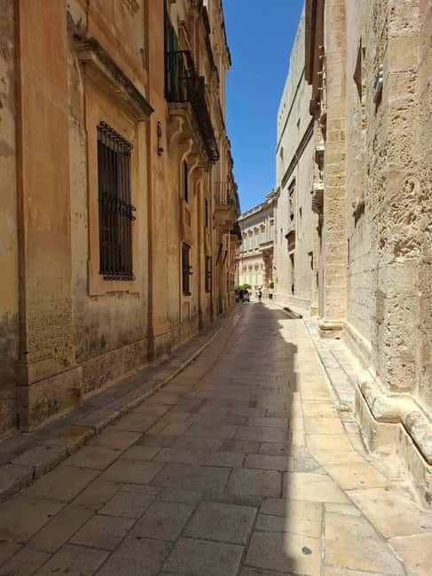 Malta: 5 hr Vintage Bus Tour - Mdina & Blue Grotto inc. food - Who will enjoy this tour most