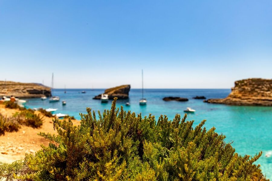 Malta: Blue Lagoon, Comino & St Paul's Islands Cruise - Choosing between Crystal Lagoon and St Mary’s Caves