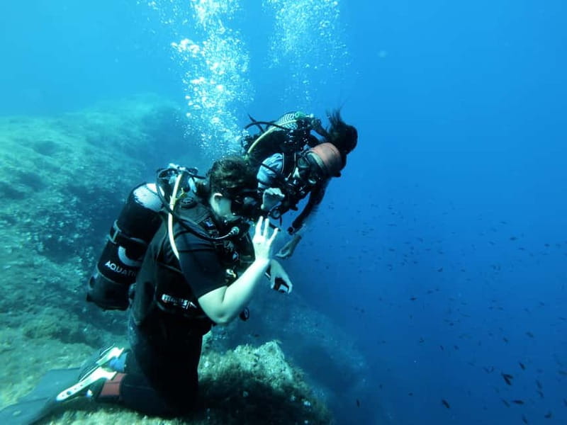 Malta: First Experience Scuba Diving Lesson - Key points to know before booking
