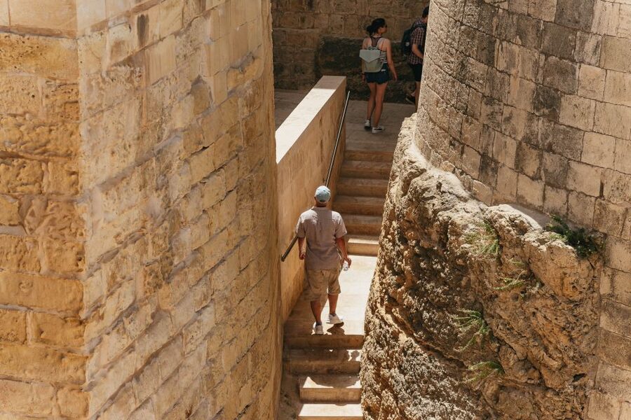 Malta: Gozo & Comino Islands, Blue Lagoon & Seacaves Tour - Who will enjoy this boat day most?