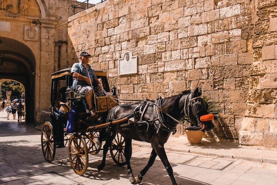 Malta: Mdina, Dingli Cliffs and San Anton Botanical Gardens - The guide-led experience