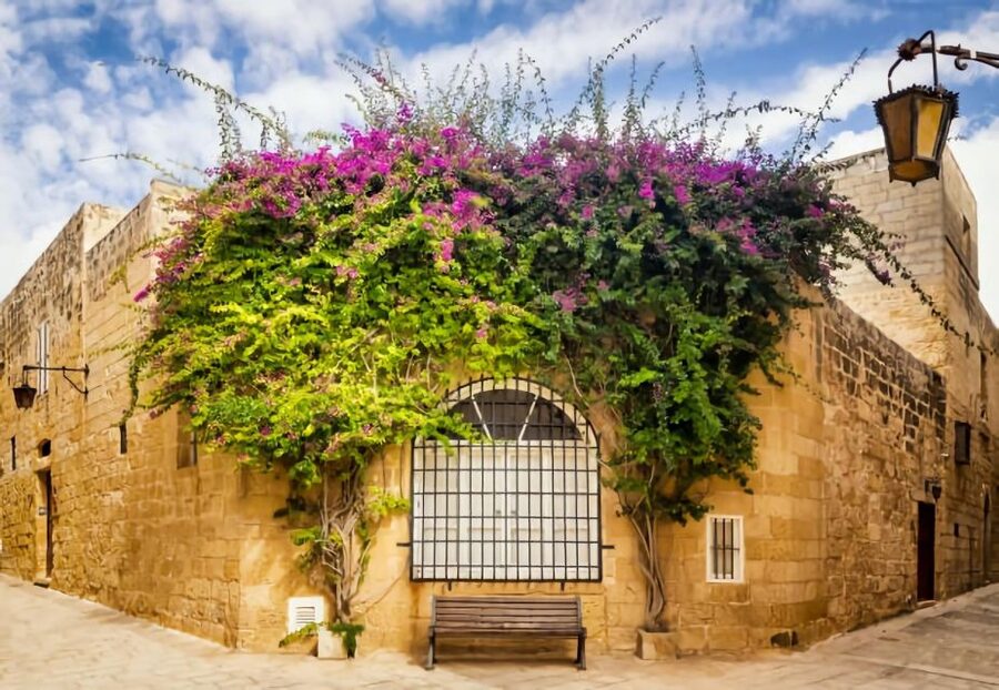 Malta: Mdina, Dingli Cliffs and San Anton Botanical Gardens - Is $41 a fair price?