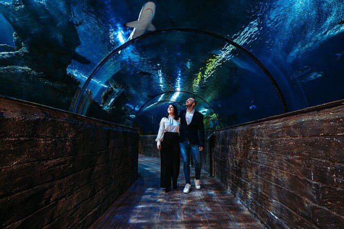 Malta National Aquarium Entrance Ticket - Best Time and Best Way to Visit
