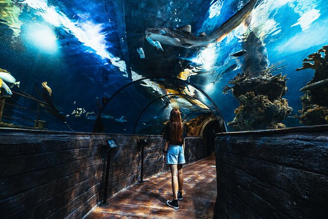 Malta National Aquarium Entrance Ticket - The Main Tank and Glass Tunnel