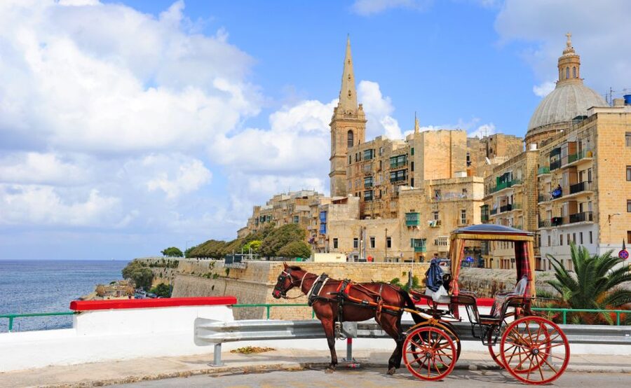 Malta: Valletta, Marsaslokk, Blue Grotto, Hagar Qim & Mdina - Key points to know before booking