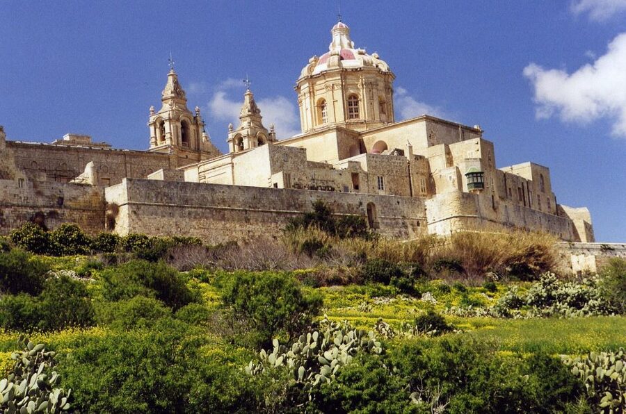 Mdina and Rabat Private Walking Tour with local pastizzi - Pastizzi at a local coffee shop