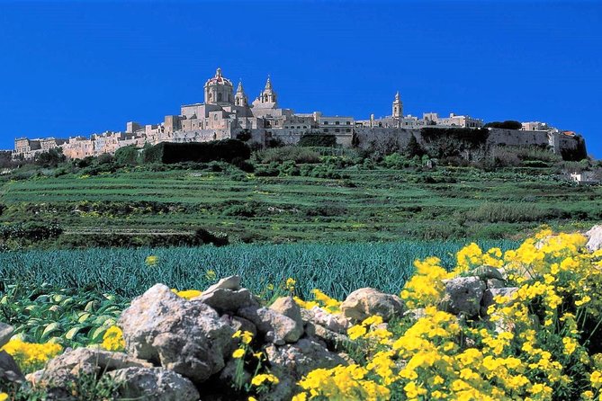 Mdina, Dingli cliffs and San Anton Gardens guided tour - San Anton Gardens: a quiet final stop