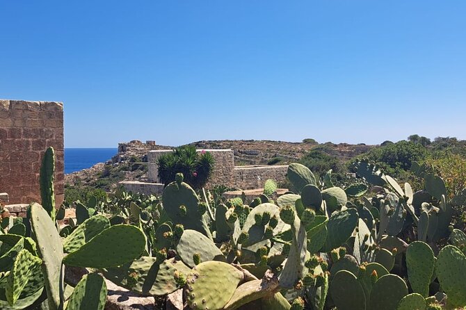 North Malta Quad Bike Tour with Land or Sea Views and Swimming - Mellieha Bay and the Blue Mediterranean