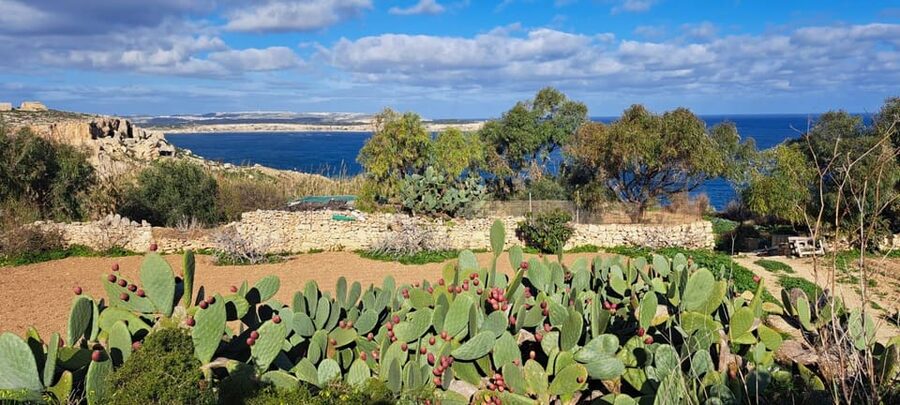 North Malta: Quad Bike Tour with Scenic Land, Sea & Swimming - Armier Bay provides the day’s best change of pace