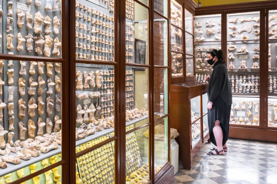 Prehistoric Temples of Malta Tour - Who will enjoy this half-day tour?