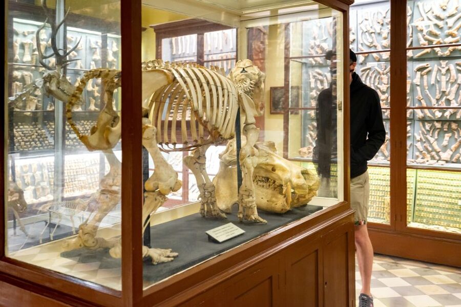 Prehistoric Temples of Malta Tour - Hamrija Tower adds Malta’s Knights-era story