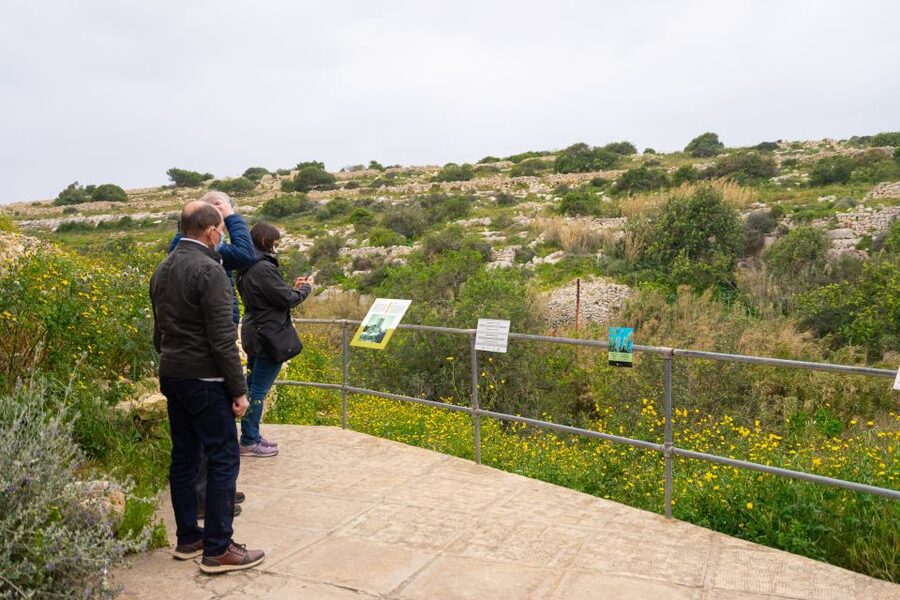 Prehistoric Temples of Malta Tour - Guide quality is the biggest reason to book