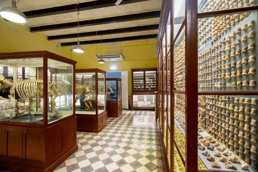 Prehistoric Temples of Malta Tour - Is $59 good value for Malta?