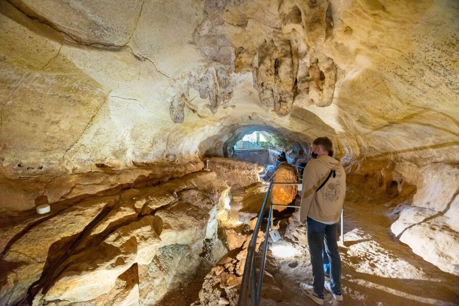 Prehistoric Temples of Malta Tour - Ghar Dalam Cave and Museum: a small cave with a useful museum