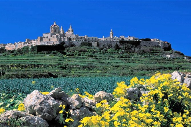 Private guided Malta shore excursion with a professional guide and transport - Valletta, Mdina, and Rabat in one day