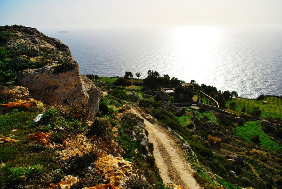Scenic Tour by Vintage Bus to Buskett Garden & Dingli Cliffs - Why this half-day Malta tour works