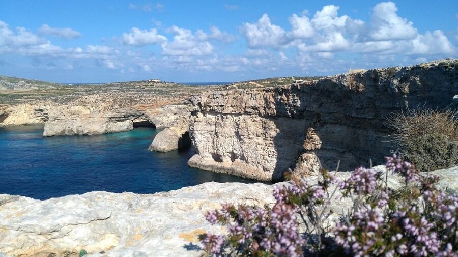 Shore Excursion Tour - Half Day - Malta National Aquarium for a family-friendly option