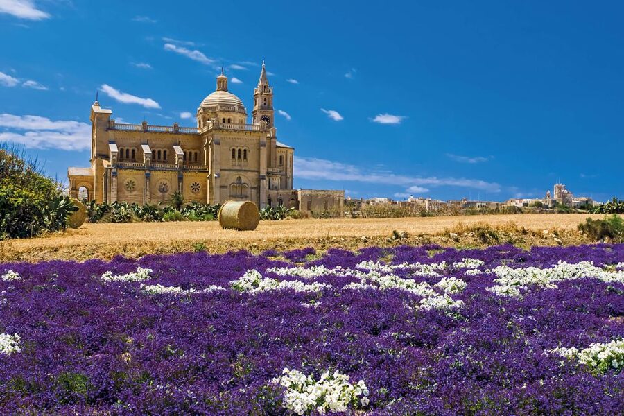 Sliema or St. Paul's Bay: Best of Gozo and Comino Day Trip - Who should book this island day trip?