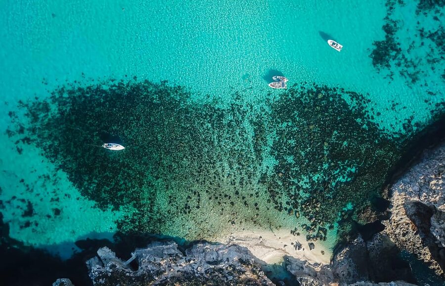 Sliema/St. Paul's: Gozo, Comino & Blue Lagoon Ferry Cruise - Who Will Enjoy This Trip Most?