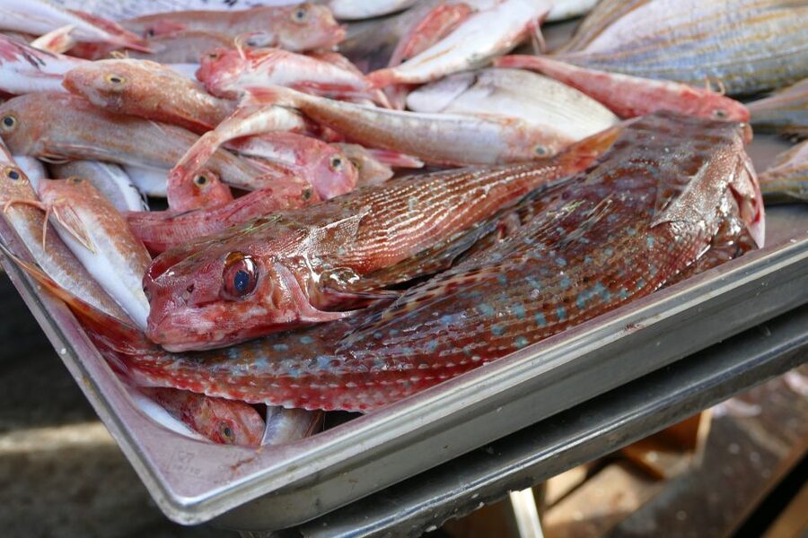 Southern Malta: Blue Grotto, Hagar Qim, and Marsaxlokk Tour - Marsaxlokk’s luzzu boats and Sunday market