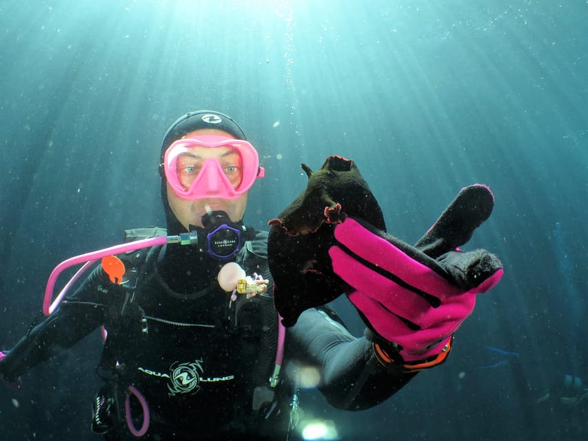 SSI Try Scuba Diving in the sea - Booking and timing details that matter