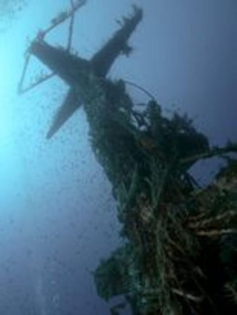 St Julians: Discover Scuba Diving Experience - The 30-minute briefing: equipment, signals, and safety