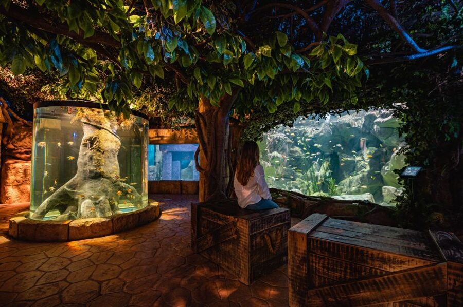 St Paul's Bay: Malta National Aquarium Entry Ticket - Five things to know before you go