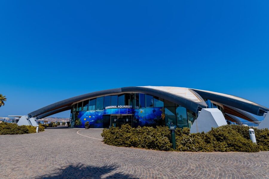 St Paul's Bay: Malta National Aquarium Entry Ticket - Arriving at the starfish-shaped building