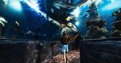 Malta National Aquarium Entry Ticket