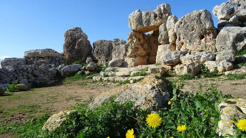 Temples Tour (Pickup, Transfer, Tickets & Drop-off Included) - Who should book this half-day tour?