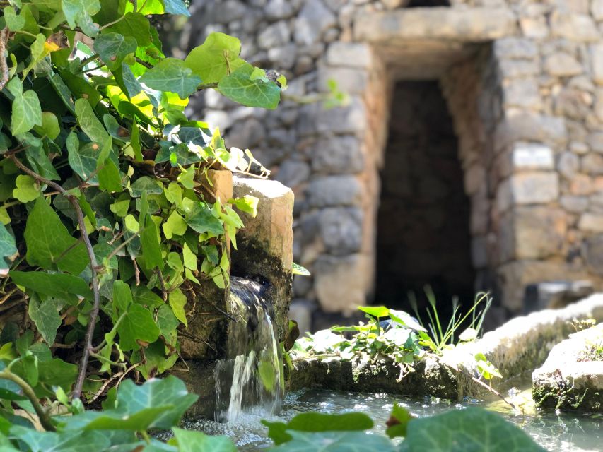 The Limestone Heritage Park and Gardens (Entry Ticket) - Why Maltese limestone matters