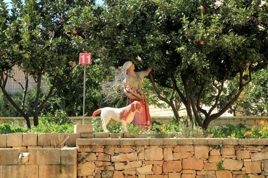 The Limestone Heritage Park and Gardens (Entry Ticket) - Take a slower turn through the citrus garden