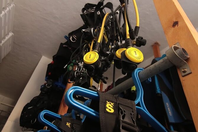Two Morning Dives in Gozo for Certified Diver - Why Gozo works well for a morning underwater outing